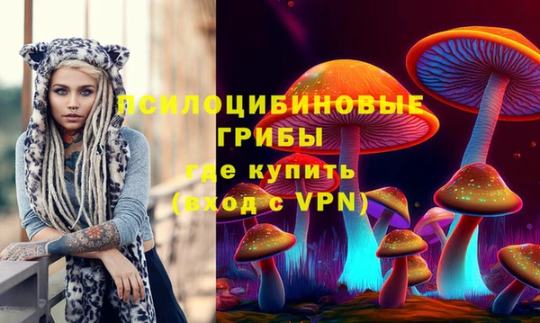 прущие крисы Коряжма