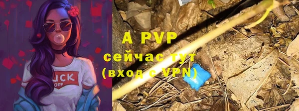 прущие крисы Коряжма